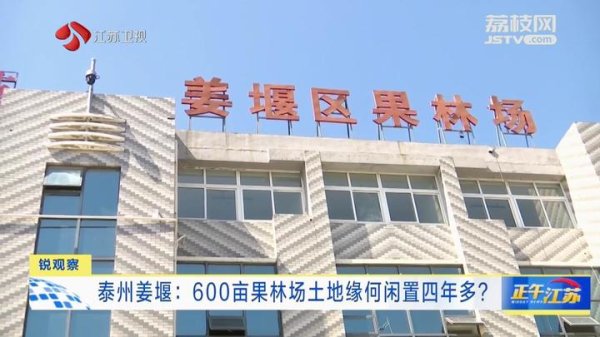 稳拿证券 锐观察丨泰州姜堰：600亩果林场土地缘何闲置四年多？